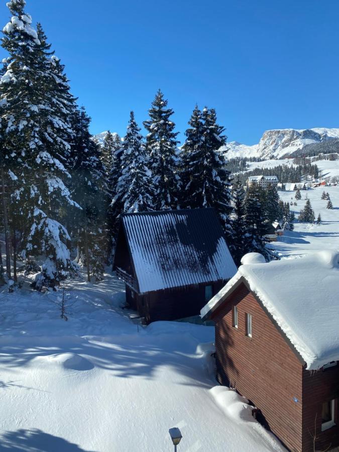 Zlatni Dar Leilighet Žabljak Eksteriør bilde
