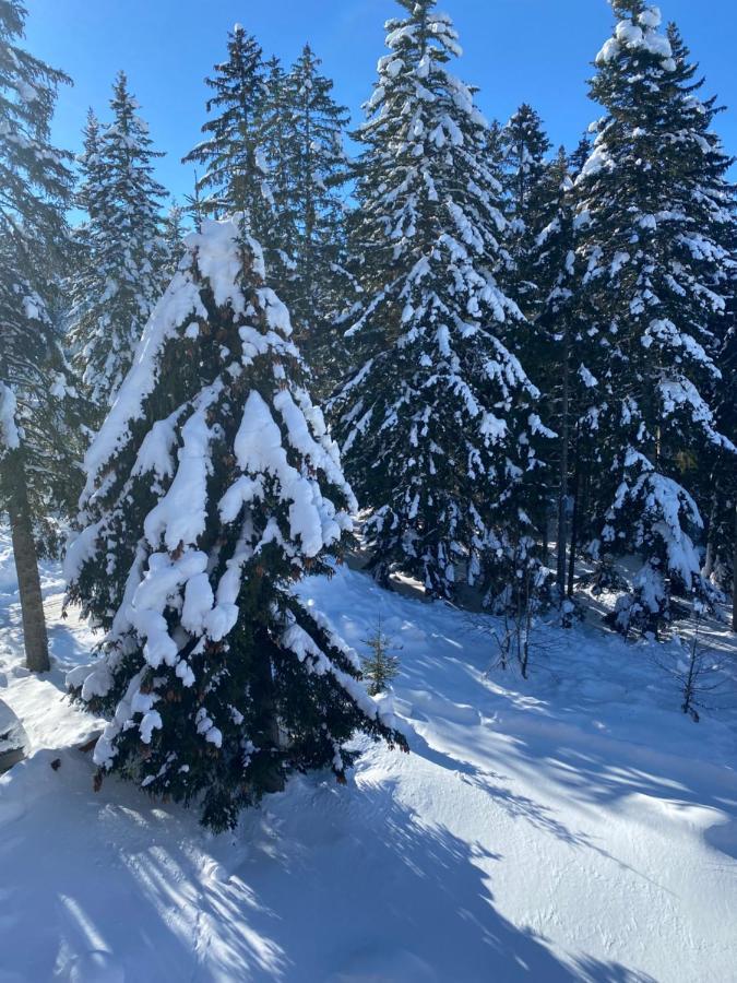 Zlatni Dar Leilighet Žabljak Eksteriør bilde